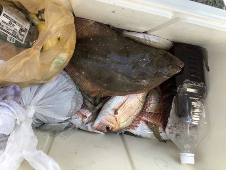 リトルワン 釣果