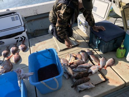 リトルワン 釣果