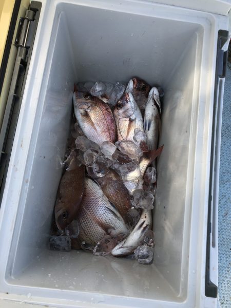 リトルワン 釣果