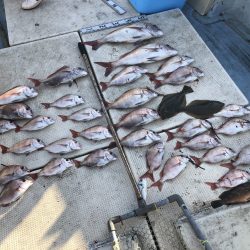 リトルワン 釣果