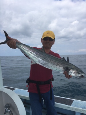 シーモンキー 釣果