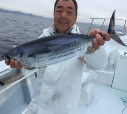小倉丸 釣果