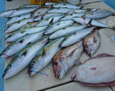 宝生丸 釣果