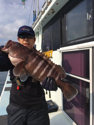 シーモンキー 釣果