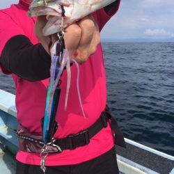 シーモンキー 釣果