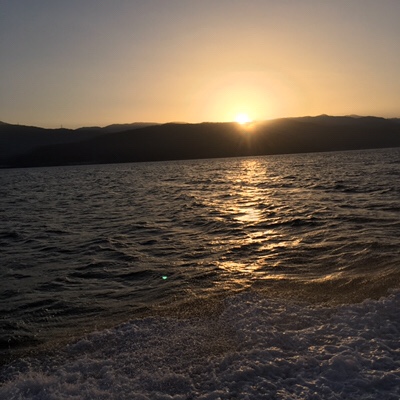 シーモンキー 釣果