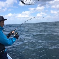 シーモンキー 釣果