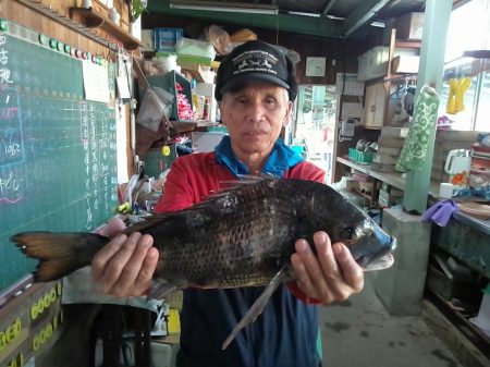 ふじや釣舟店 釣果