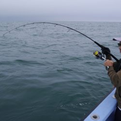 松鶴丸 釣果