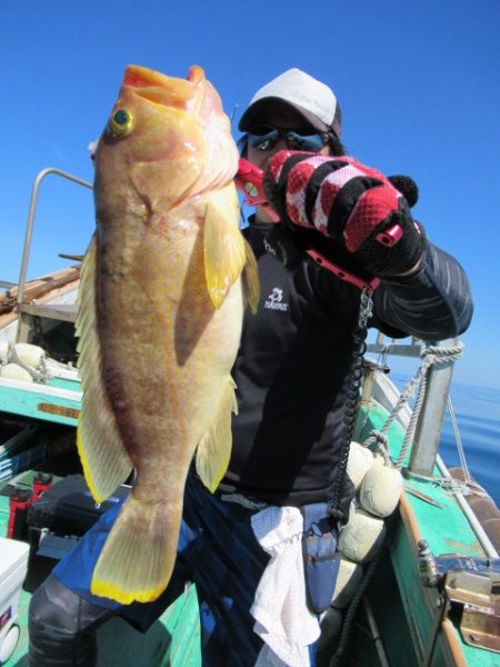 真祐丸 （しんゆうまる） 釣果