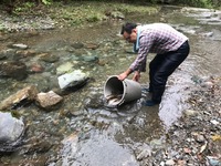 秩父フライフィールド 釣果