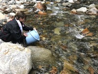 秩父フライフィールド 釣果