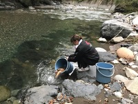 秩父フライフィールド 釣果