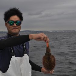 根岸丸 釣果