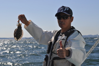 根岸丸 釣果