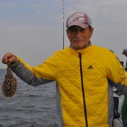 根岸丸 釣果