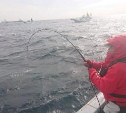 かねい丸 釣果