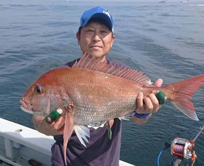 かねい丸 釣果