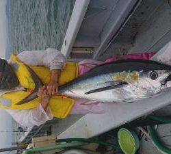 かねい丸 釣果