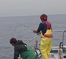 かねい丸 釣果