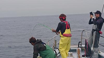 かねい丸 釣果