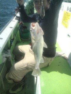 金沢八景鴨下丸 釣果