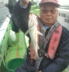 金沢八景鴨下丸 釣果