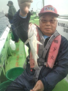 金沢八景鴨下丸 釣果