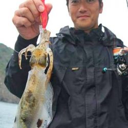 ブルースフィッシングサービス 釣果