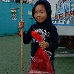 としまえんフィッシングエリア 釣果