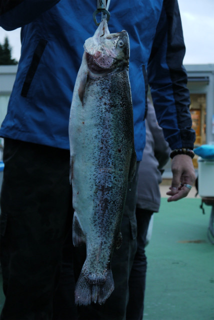 としまえんフィッシングエリア 釣果