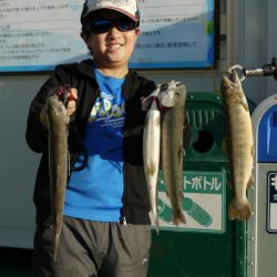 としまえんフィッシングエリア 釣果