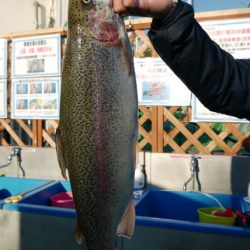 としまえんフィッシングエリア 釣果