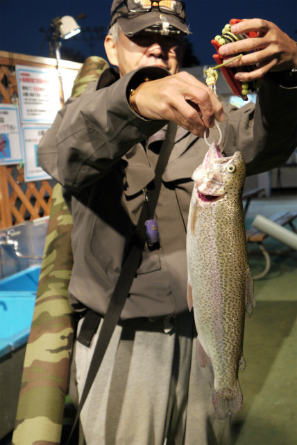 としまえんフィッシングエリア 釣果