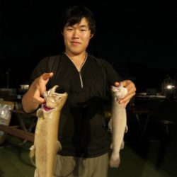 としまえんフィッシングエリア 釣果