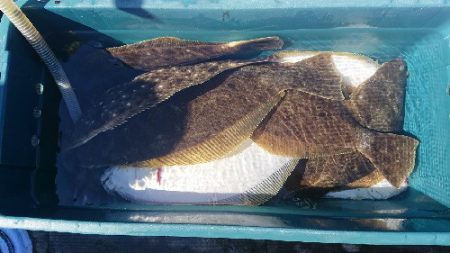 小樽港遊漁船SHAKE 釣果