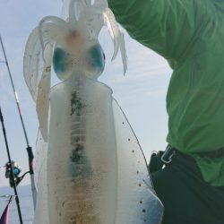シースナイパー海龍 釣果