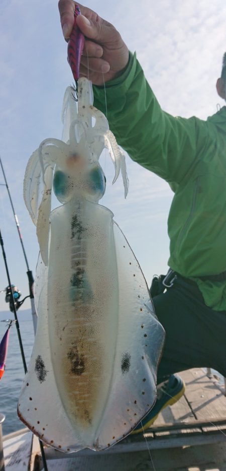 シースナイパー海龍 釣果