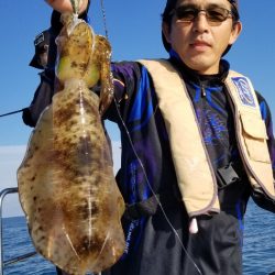 ソルトウォーターガイドフレンズ 釣果