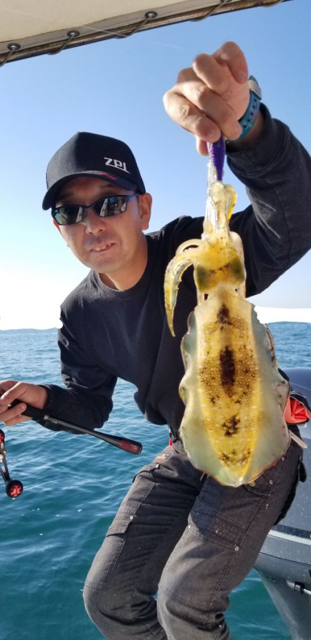 ソルトウォーターガイドフレンズ 釣果