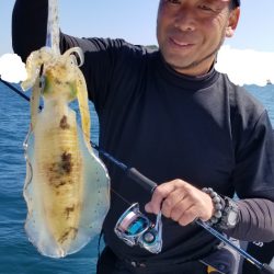 ソルトウォーターガイドフレンズ 釣果