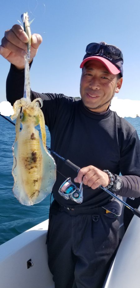 ソルトウォーターガイドフレンズ 釣果