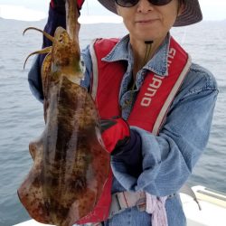 ソルトウォーターガイドフレンズ 釣果