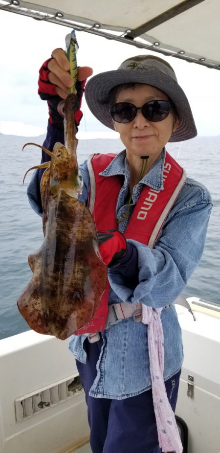 ソルトウォーターガイドフレンズ 釣果