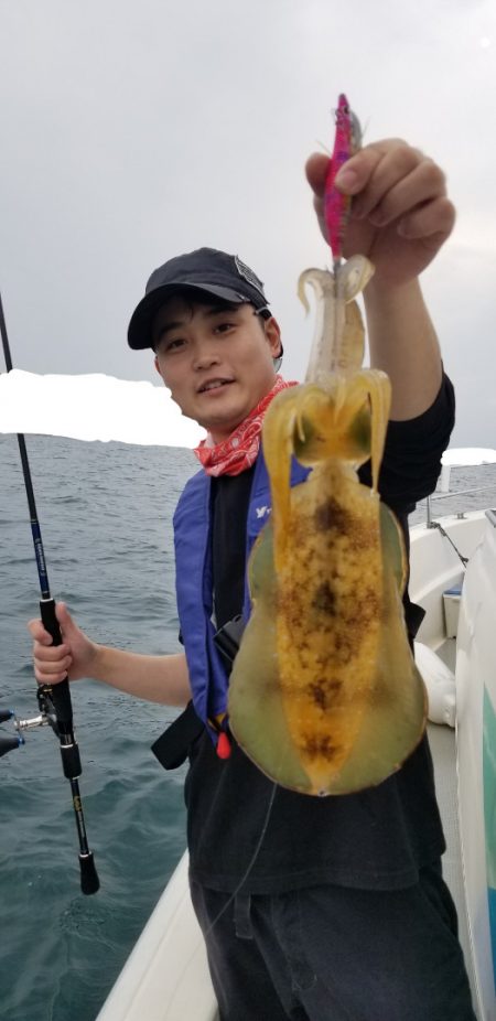 ソルトウォーターガイドフレンズ 釣果