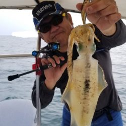 ソルトウォーターガイドフレンズ 釣果