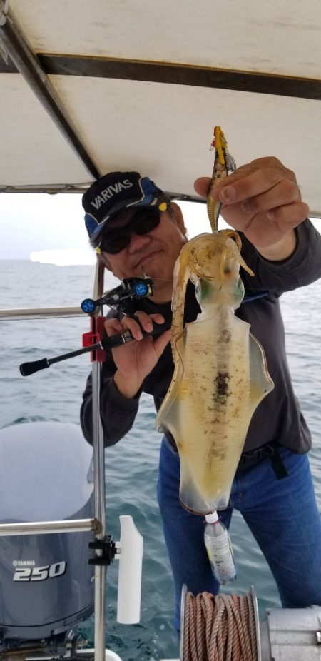 ソルトウォーターガイドフレンズ 釣果