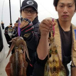 ソルトウォーターガイドフレンズ 釣果