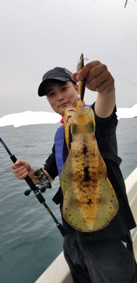 ソルトウォーターガイドフレンズ 釣果