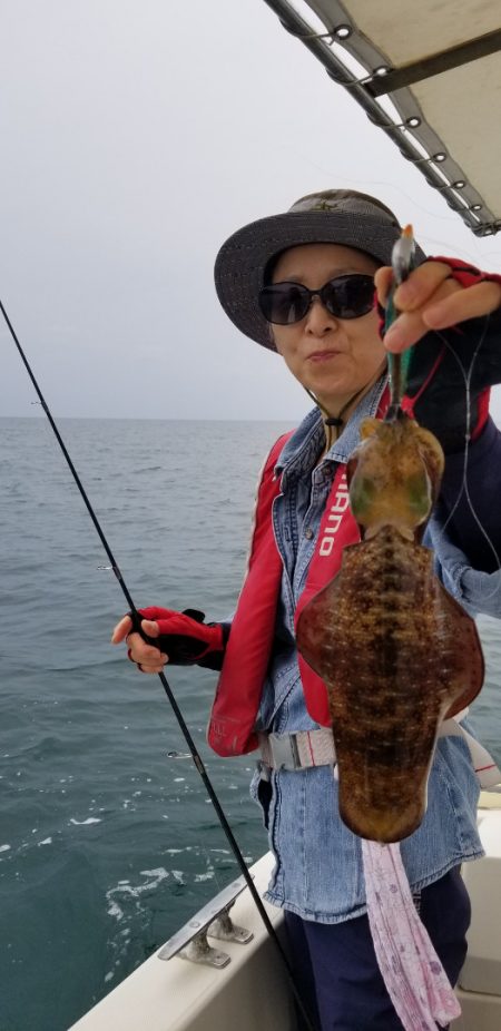 ソルトウォーターガイドフレンズ 釣果